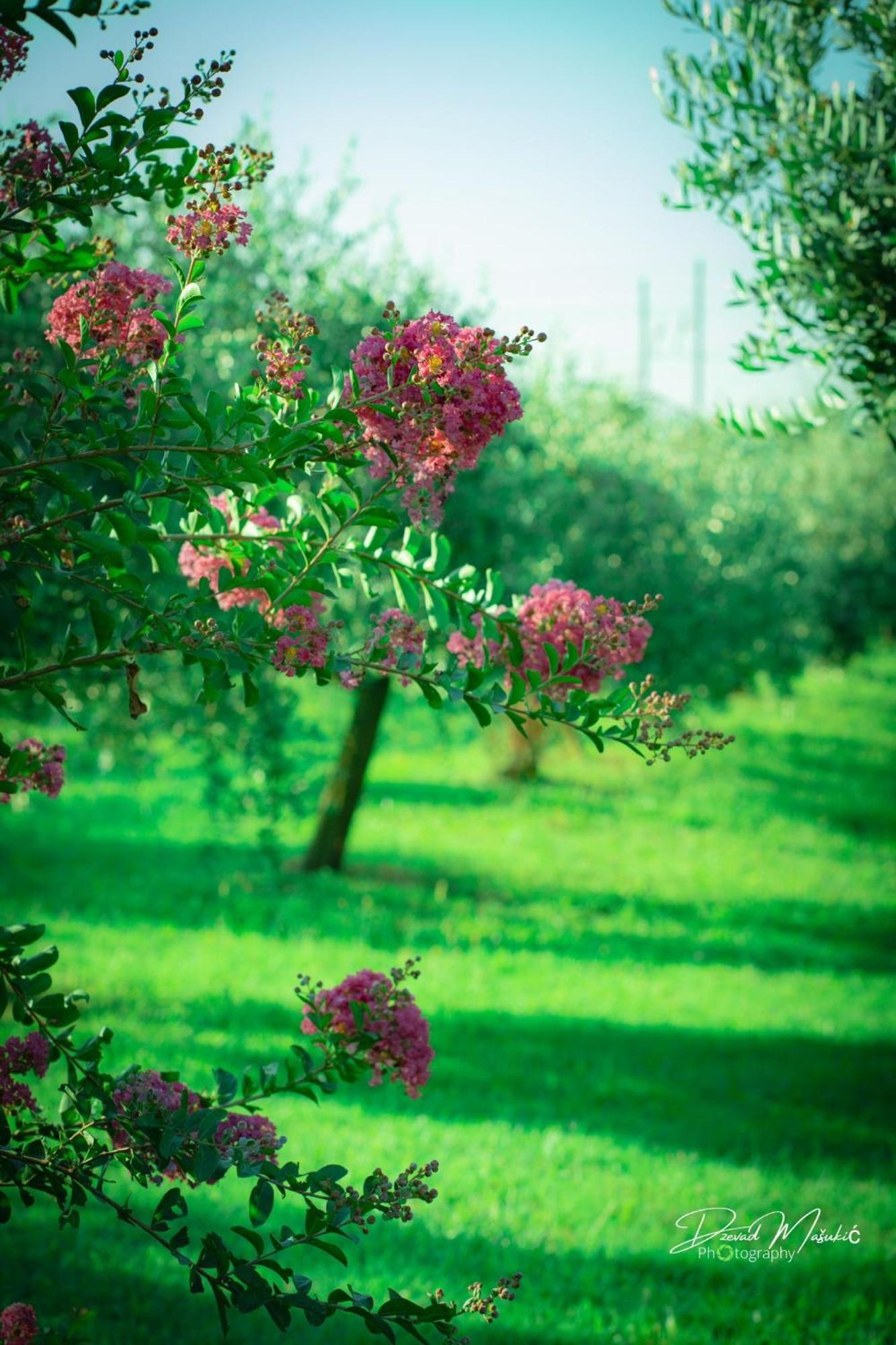 Agriturismo Olistella Villa Palazzolo dello Stella Екстериор снимка